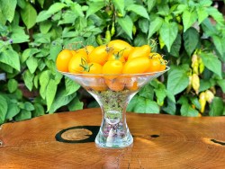 borgese vase roman